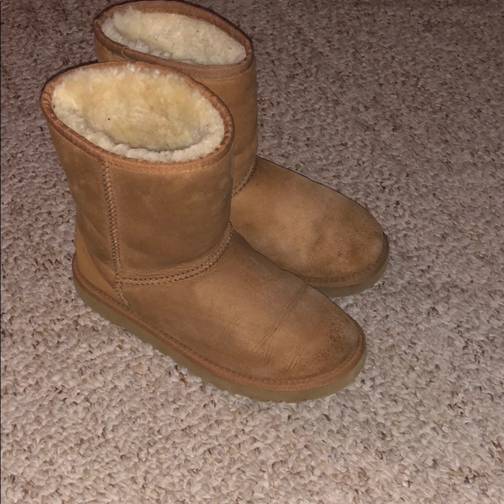 Chestnut short ugh boots